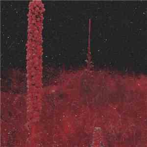 Nitro Pulse - Lost times album flac