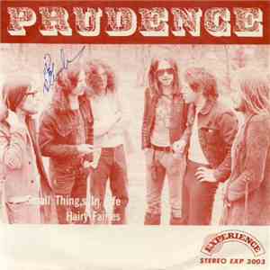 Prudence  - Small Things In Life / Hairy Fairies album flac