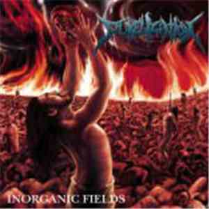 Pukelization - Inorganic Fields album flac