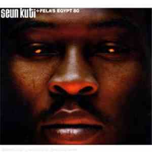 Seun Kuti + Fela's Egypt 80 - Many Things album flac