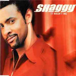 Shaggy - It Wasn't Me album flac