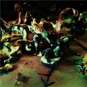 Skullflower - Bayou Perfume Advert album flac