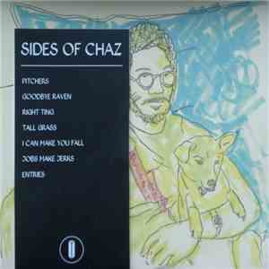 Toro Y Moi - Sides of Chaz album flac