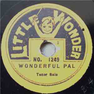 Unknown Artist - Wonderful Pal album flac