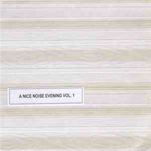 Various - A Nice Noise Evening Vol. 1 album flac