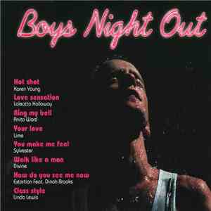 Various - Boys Night Out album flac