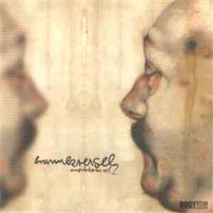 Various - Brummkreisel Compilation Vol 2 album flac
