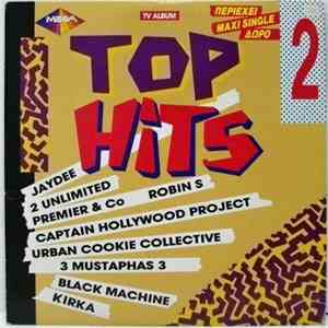 Various - Top Hits 2 album flac