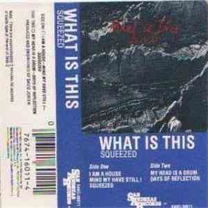 What Is This - Squeezed album flac