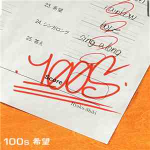 100s - 希望 album flac