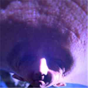 A Bit Crusher - That Thing Upstairs (2K8 Remix) album flac