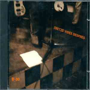 B-30 - Tretze Vides Després album flac