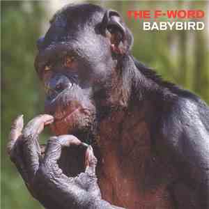 Babybird - The F-Word album flac