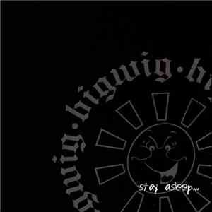 Bigwig - Stay Asleep album flac