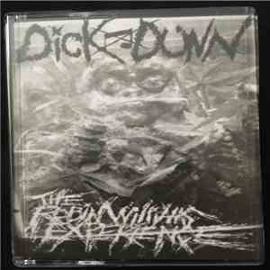 Dick Dunn / The Robin Williams Experience - Split Tape album flac