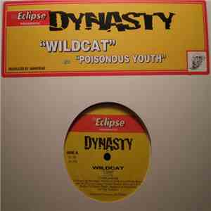 Dynasty  - Wildcat album flac