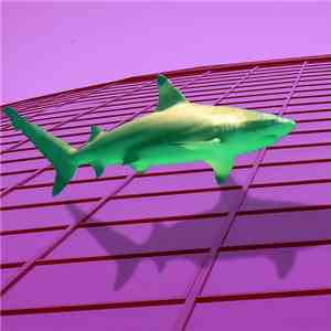 GAMESHARK™ - Shark フローティン グふわっと album flac