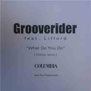 Grooverider Feat. Lifford - What Do You Do (Dillinja Remix) album flac