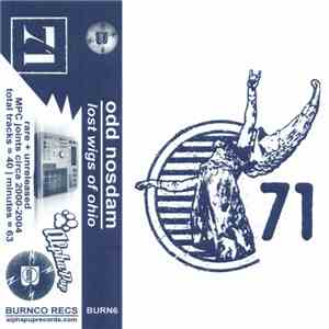 Odd Nosdam - Lost Wigs Of Ohio album flac