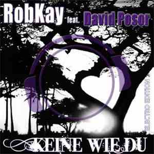RobKay Feat. David Posor - Keine Wie Du (Electro Edition) album flac