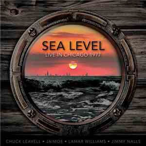 Sea Level - Live In Chicago 1977 (Ivanhoe Theater, Chicago, Il. 2nd July 1977, Fm Broadcast) album flac