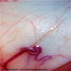 Secant - HOPE IN WHAT THE DARKNESS BRINGS album flac