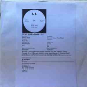 Steel Mind - Boss Man album flac