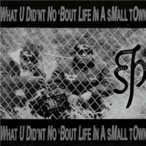 STP - What U Did'nt No 'Bout Life In A Small Town album flac