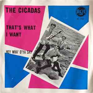 The Cicadas - That's What I Want album flac