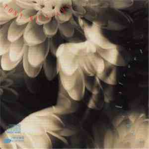 Tony Williams - Angel Street album flac