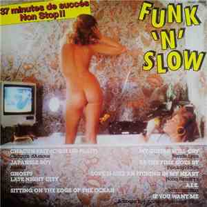Various - Funk 'N' Slow album flac