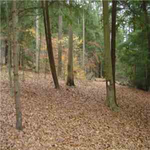 Various - Gateway To Fall album flac