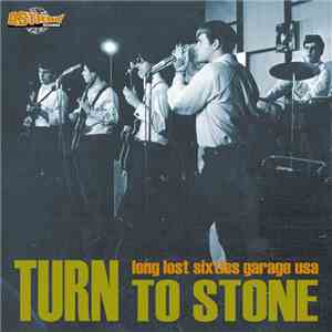 Various - Turn To Stone (Long Lost Sixties Garage USA) album flac