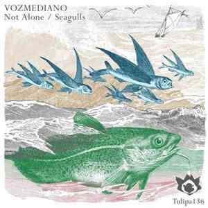 Vozmediano - Not Alone / Seagulls album flac
