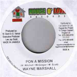 Wayne Marshall / Harry Toddler - Pon A Mission / Tek It Pass Them album flac