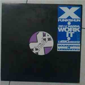 X-Funkshun - Do U Wanna Work It album flac