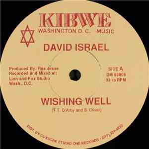 David Israel - Wishing Well album flac