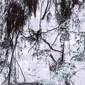 Dead Reptile Shrine - N.t.K. album flac