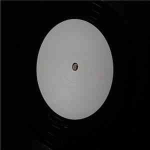 DJ Sleepy - In This Cold World album flac