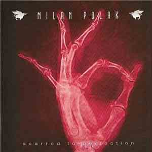 Milan Polak - Scarred To Perfection album flac