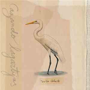 Niño Cohete - Cazando Lagartijas album flac