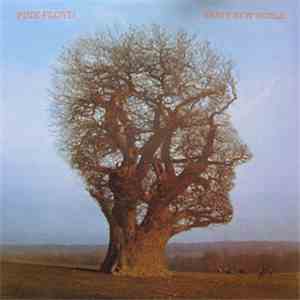 Pink Floyd - Brave New World album flac