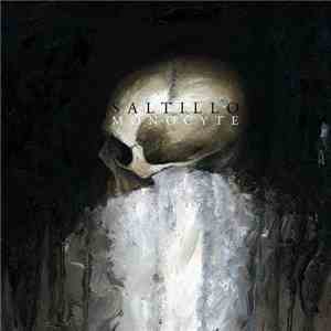 Saltillo - Monocyte album flac