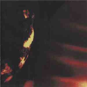 Skepticism - Stormcrowfleet album flac
