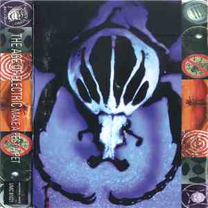 The Age Of Electric - Make A Pest A Pet album flac