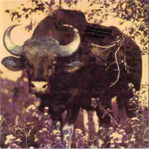 Thee Michelle Gun Elephant - Out Blues album flac