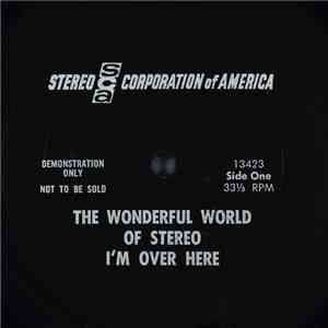 Unknown Artist - The Wonderful World Of Stereo album flac