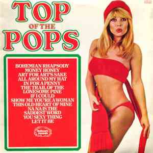 Unknown Artist - Top Of The Pops Vol. 49 album flac