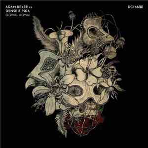 Adam Beyer Vs Dense & Pika - Going Down album flac