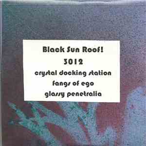 Black Sun Roof! - 3012 album flac
